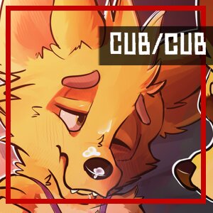 Cub con footage!