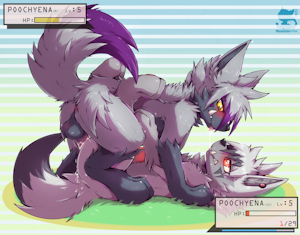 1v1 Poochyena Battle!