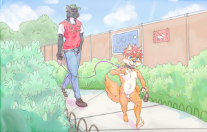 Birthday Walk for the Birthday Pup