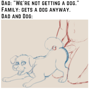 New Submission