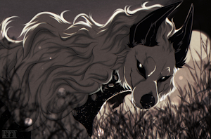 Interesting prey