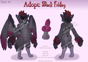 Adopt: Black Friday