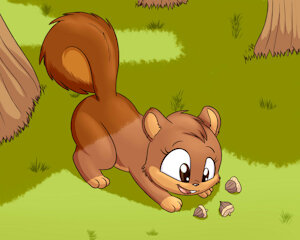 Cute squirrel
