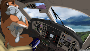 Piloting his Partner