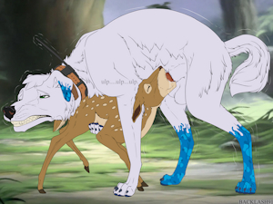 5810833_Backlash91_hunting_dog_x_fawn_samoyed.png