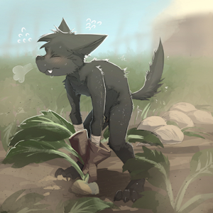 Sidequest