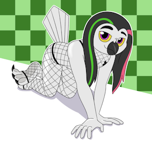 Owl Fishnets