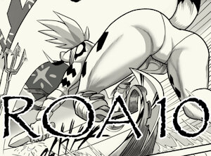 ROA 10