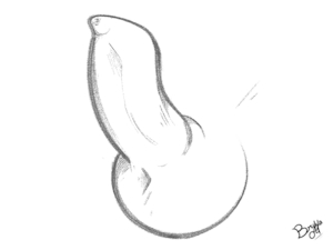 5820857_Bryya04_hoku_pp_close_l.png