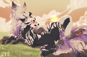 Foxes in autumn