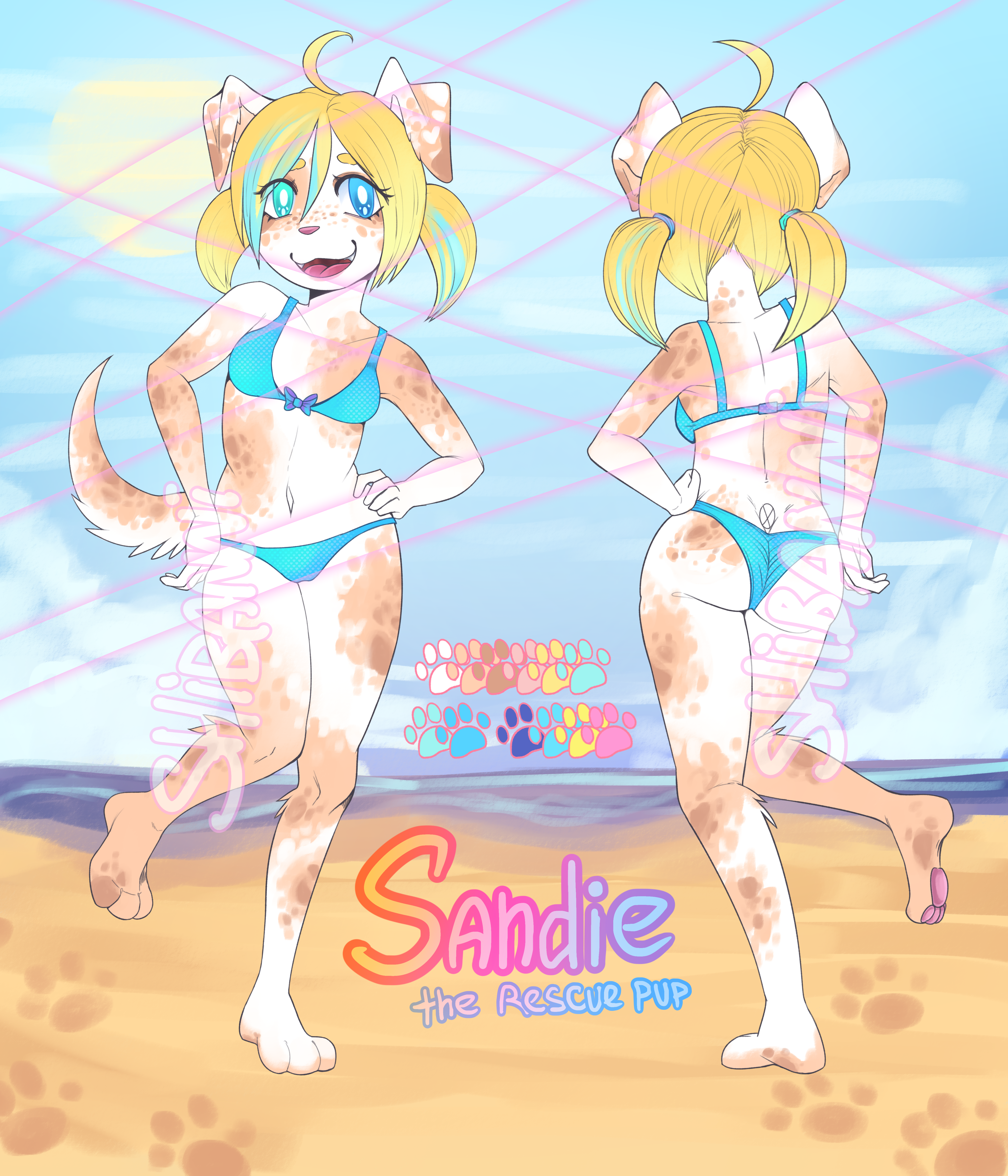 5827172_Shibanni_adopt6-2.png