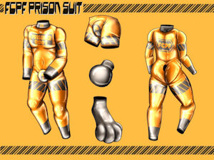 FCPF Prison suit V 1.0