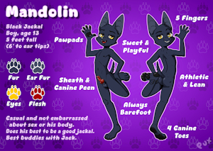 Mandolin's Ref Sheet