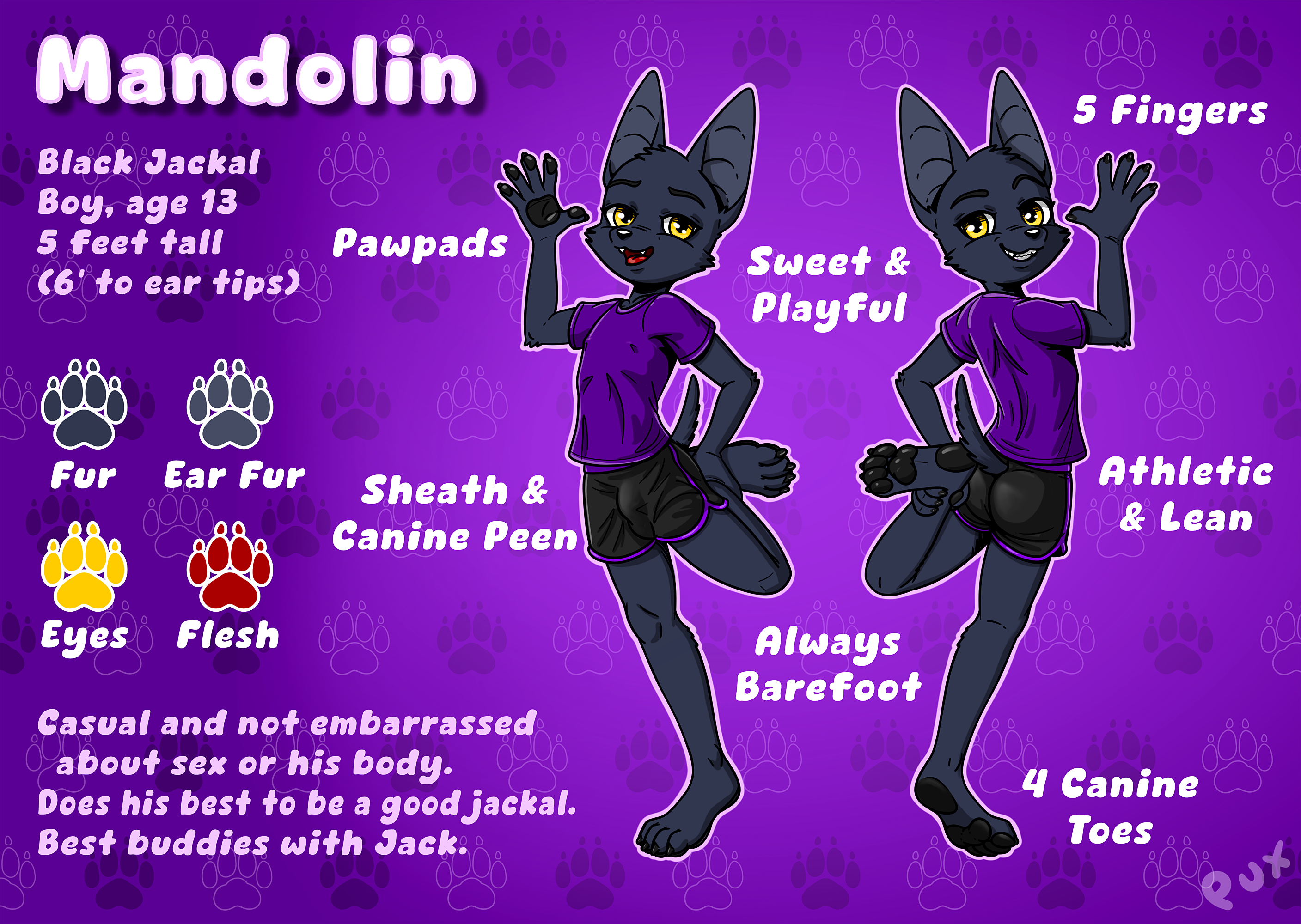 5830054_Pux_pux_mandolin_ref_sheet_1-3.png