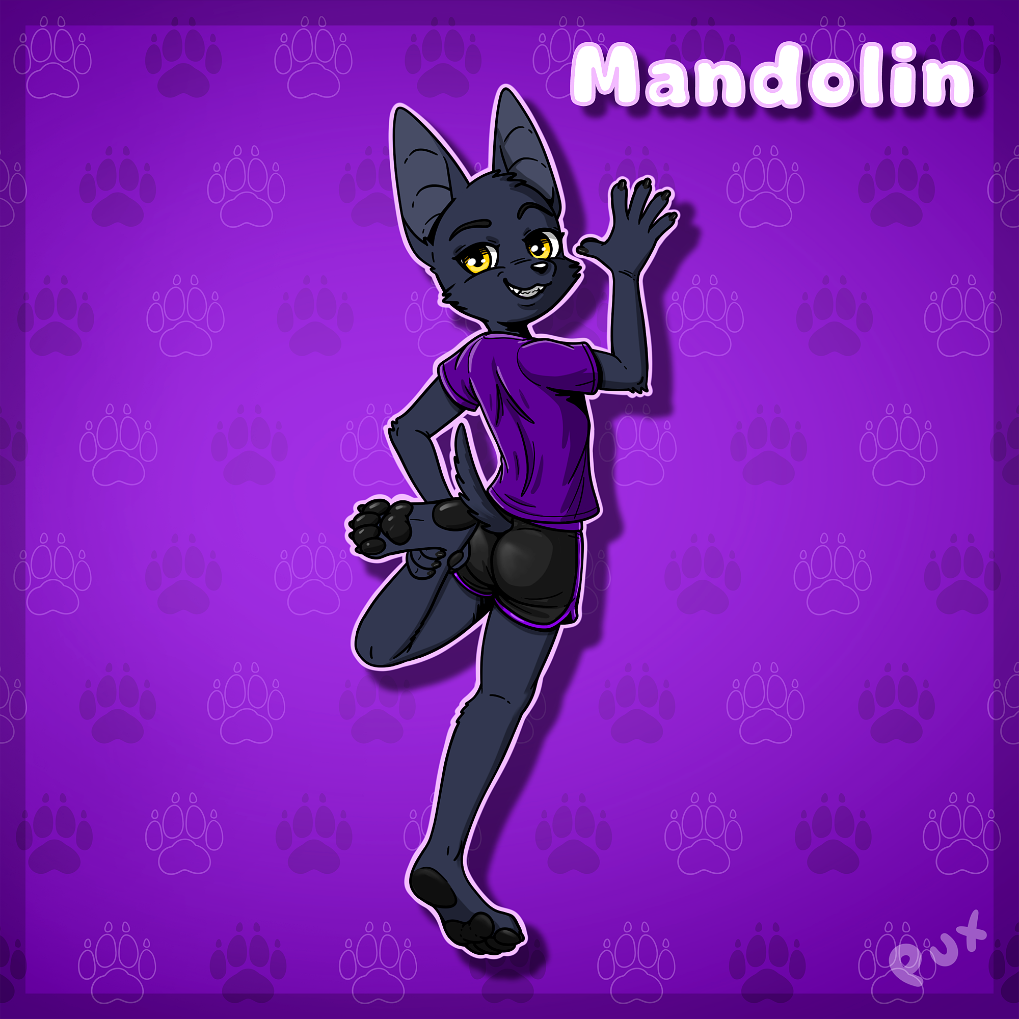 5830062_Pux_pux_mandolin_2-2.png