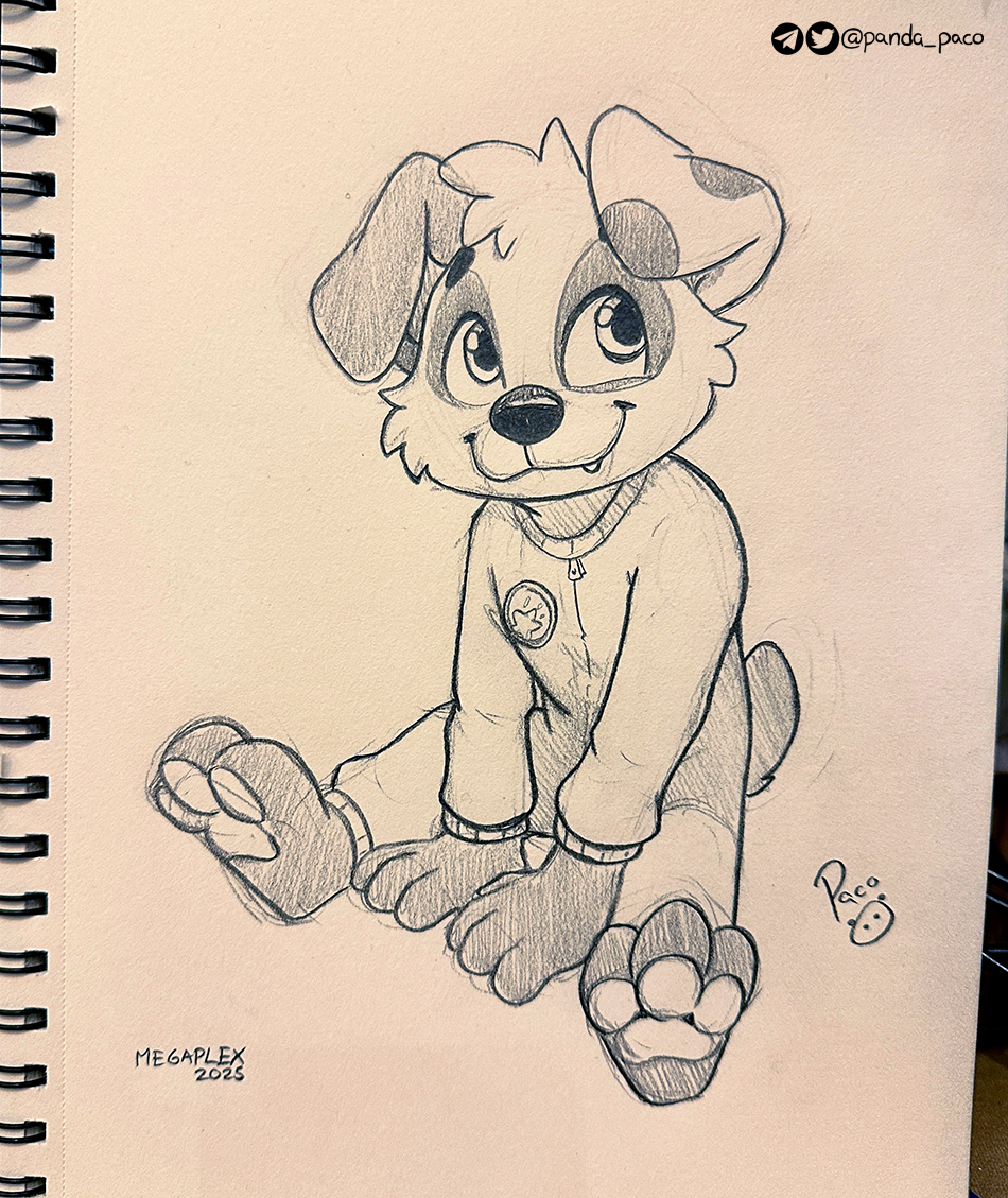 5835234_pandapaco_1184braxy.jpg