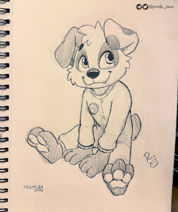 5835234_pandapaco_1184braxy.jpg