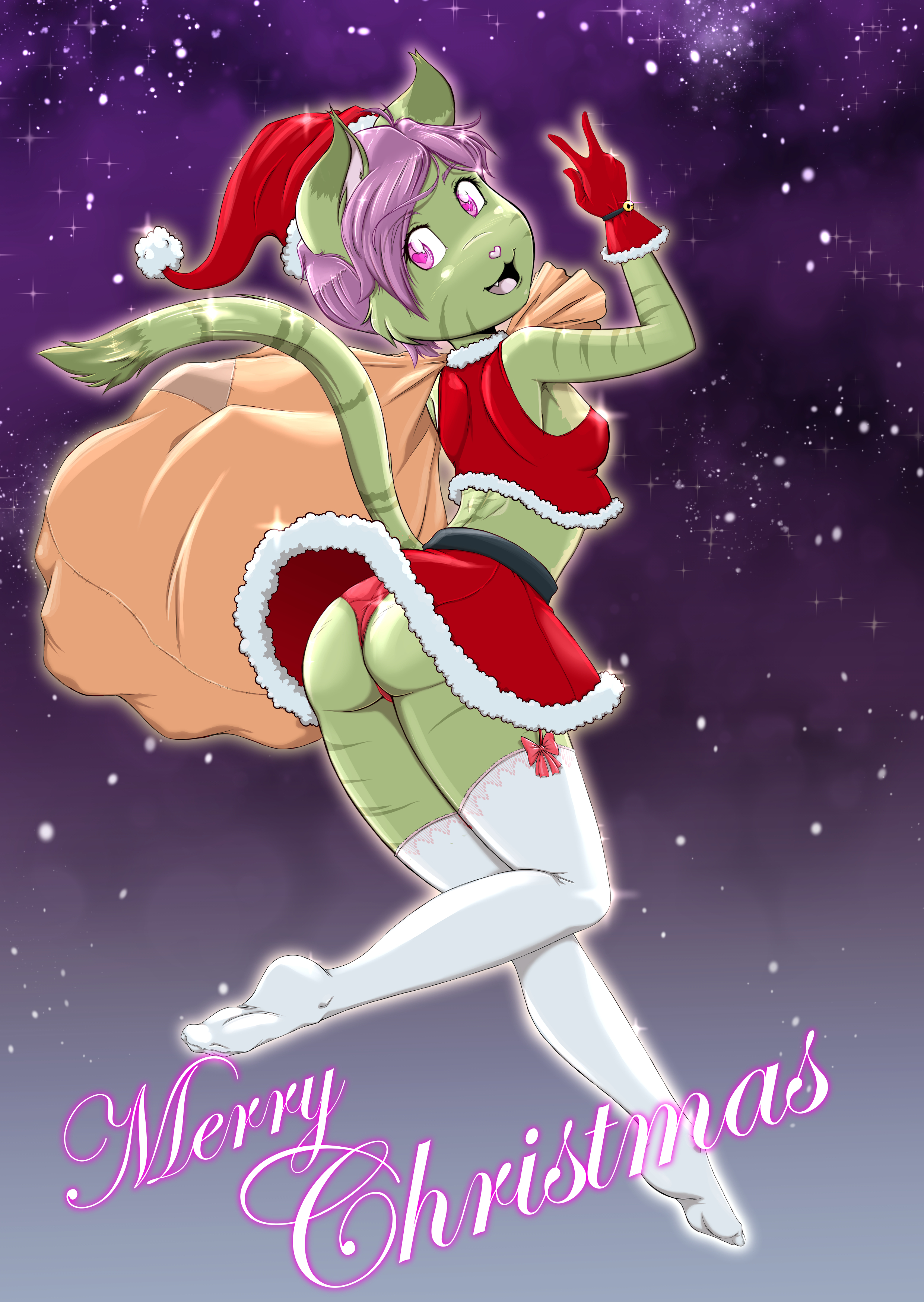 5836703_RisingDragon_midori_santa_t.jpg