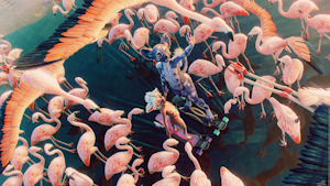 Into the sea of pink, together