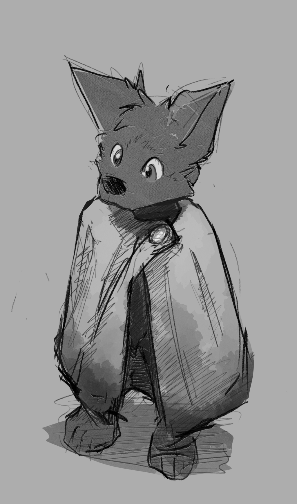 5839953_DakkaWoof_traveler_cloaked_2.png