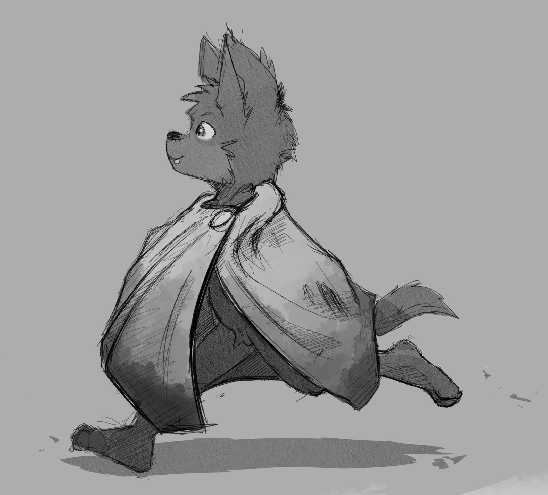 5839954_DakkaWoof_traveler_cloaked_3.png