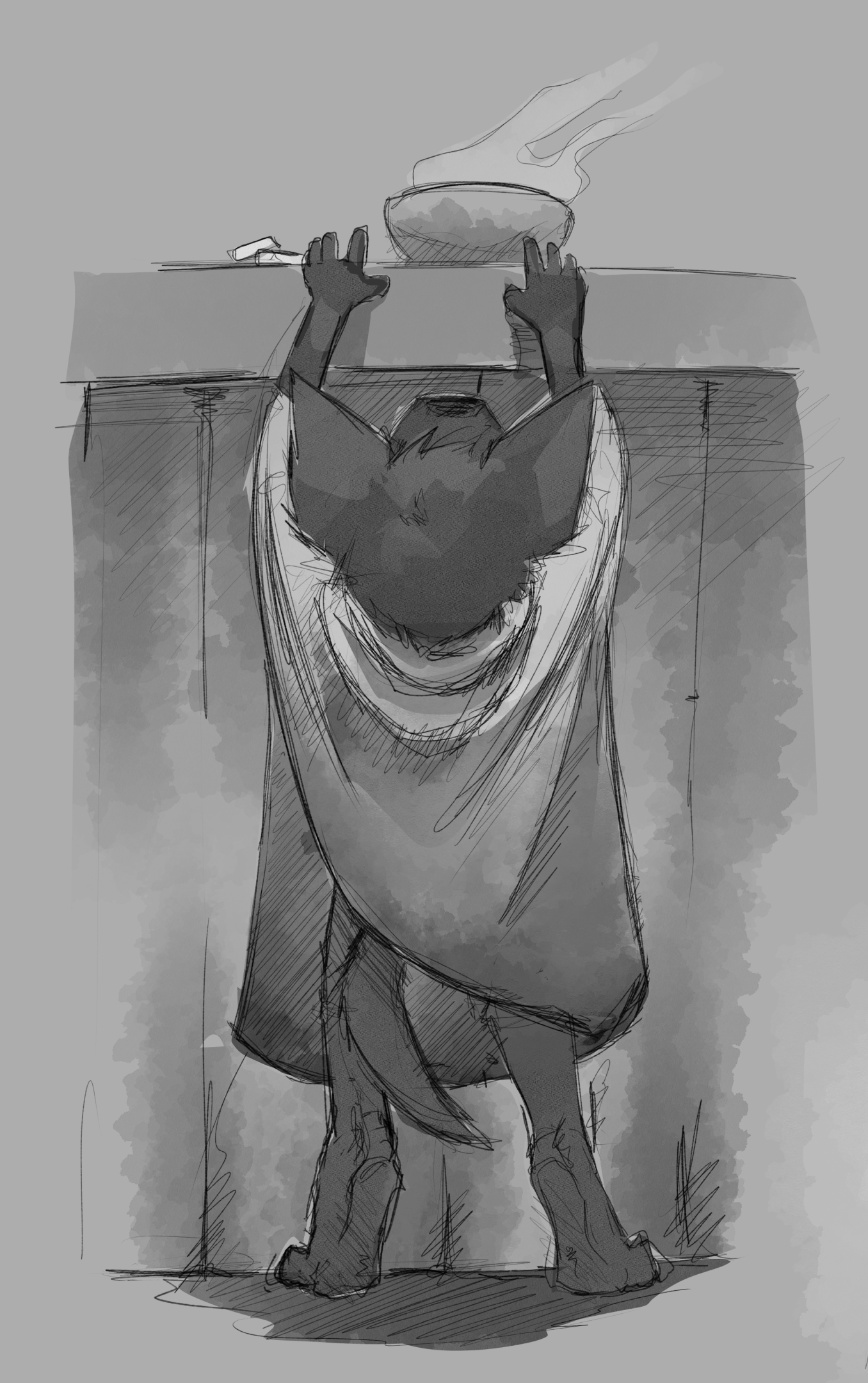 5839955_DakkaWoof_traveler_cloaked_4.png
