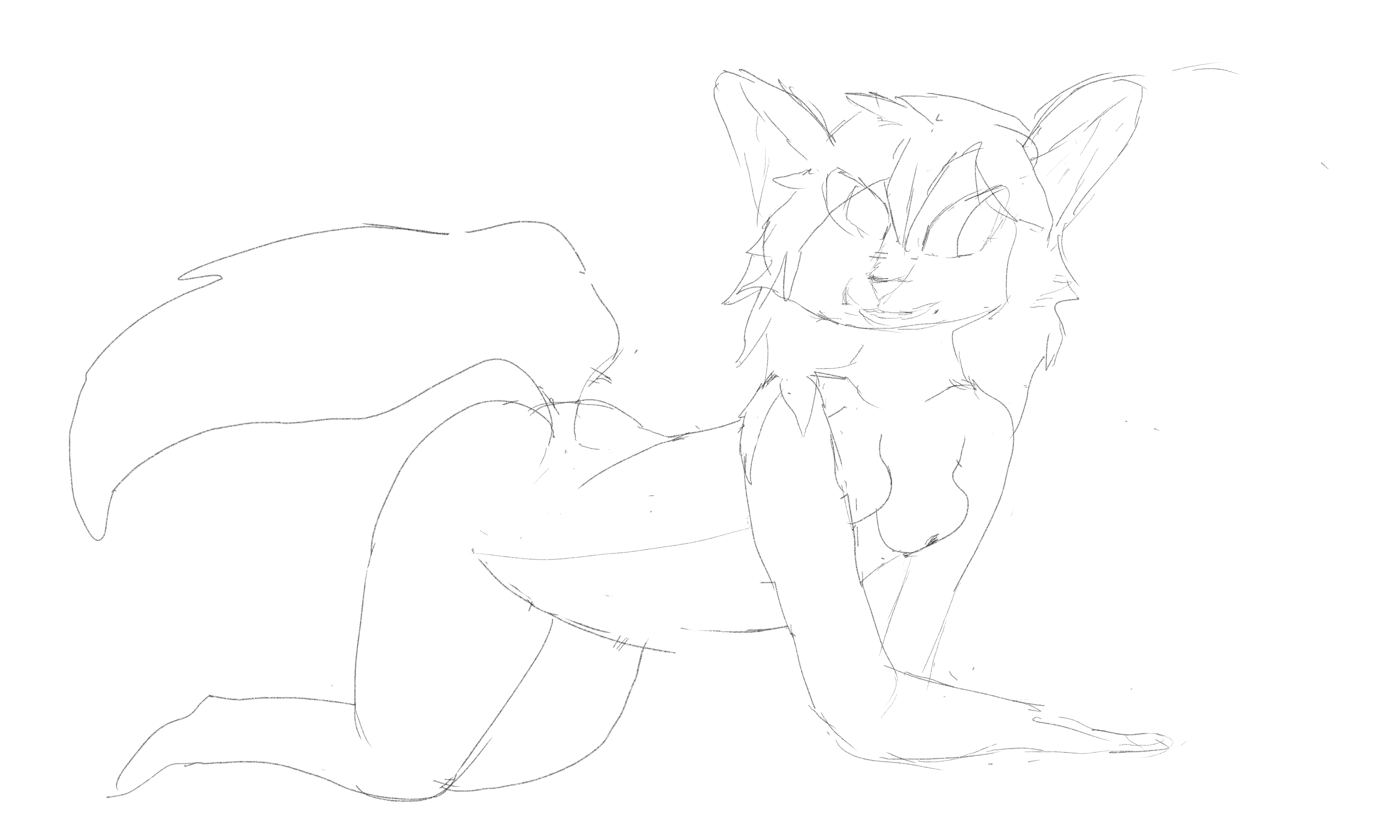 5840599_KittyPrint_butt_up_sketch.png