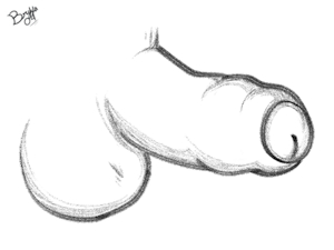 5841083_Bryya04_skunk_pp_l.png