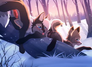 Winter wonderland - by ElisaWind