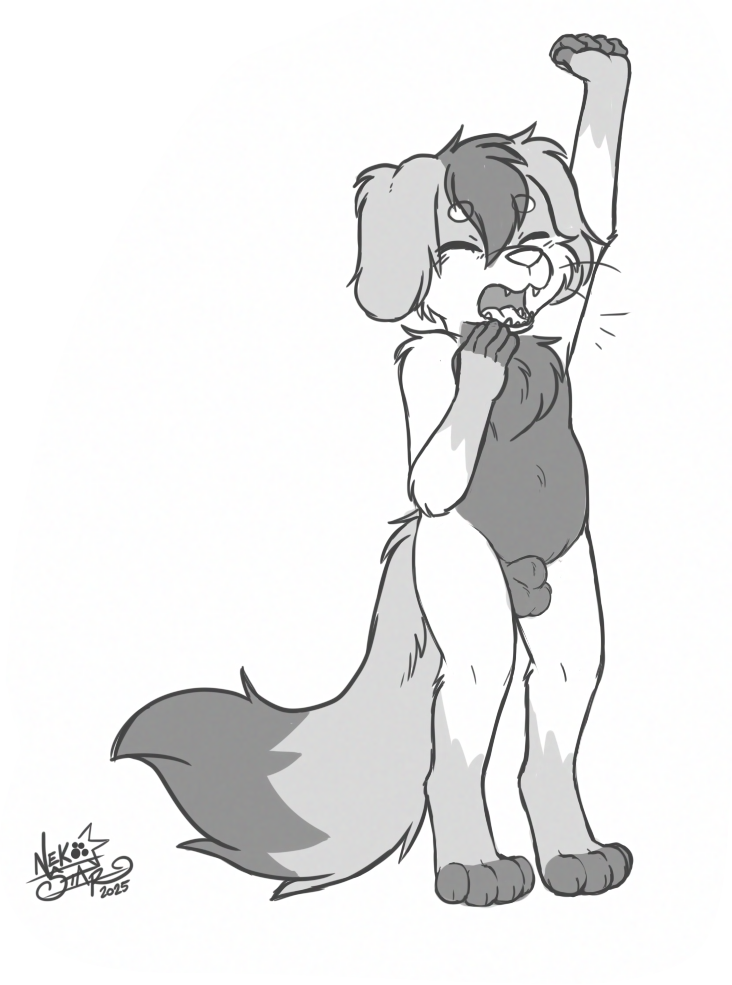 5845085_NekoStar_finn-2.png