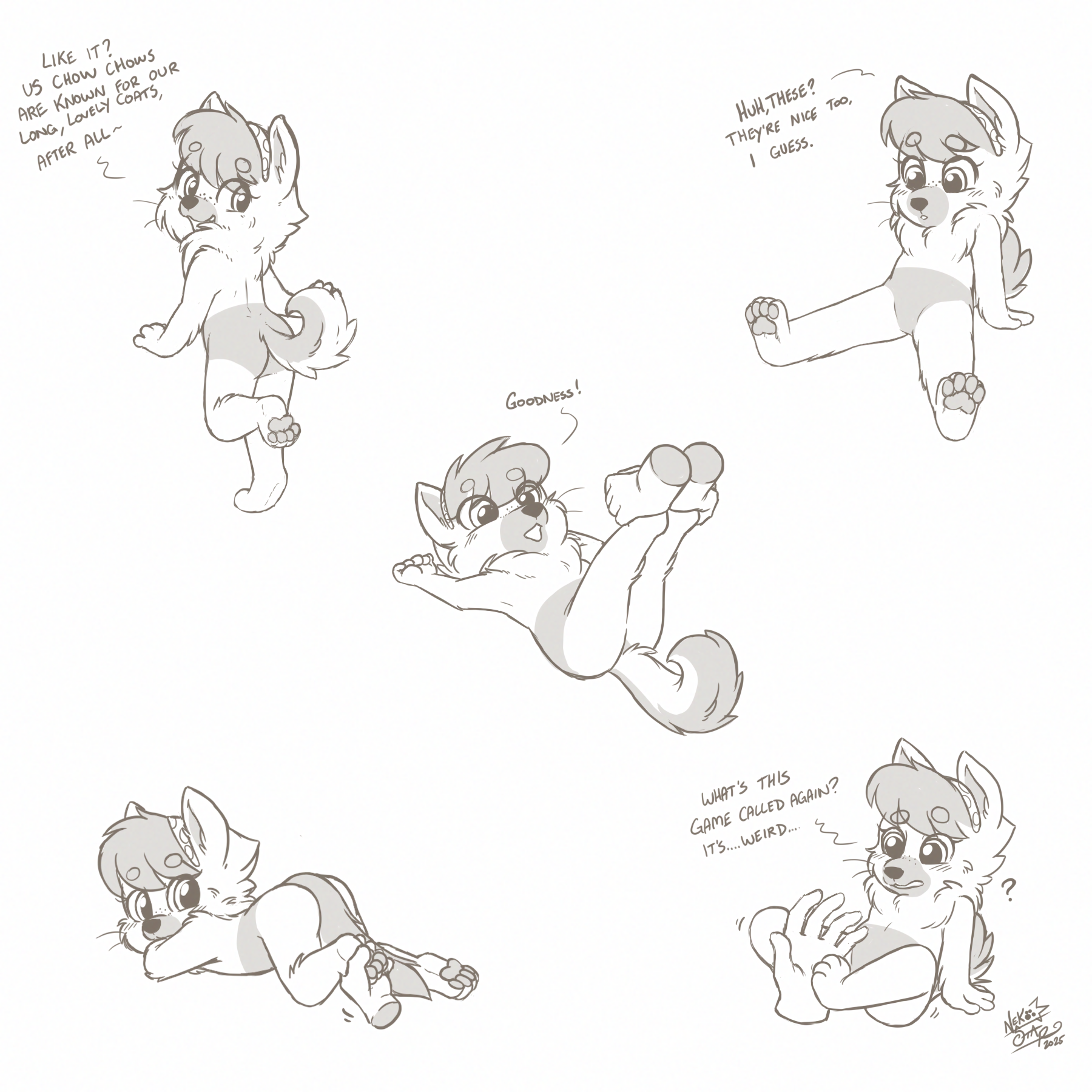 5847768_NekoStar_judo.png