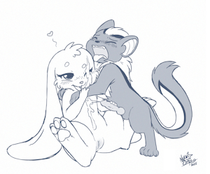 Pet Satisfaction