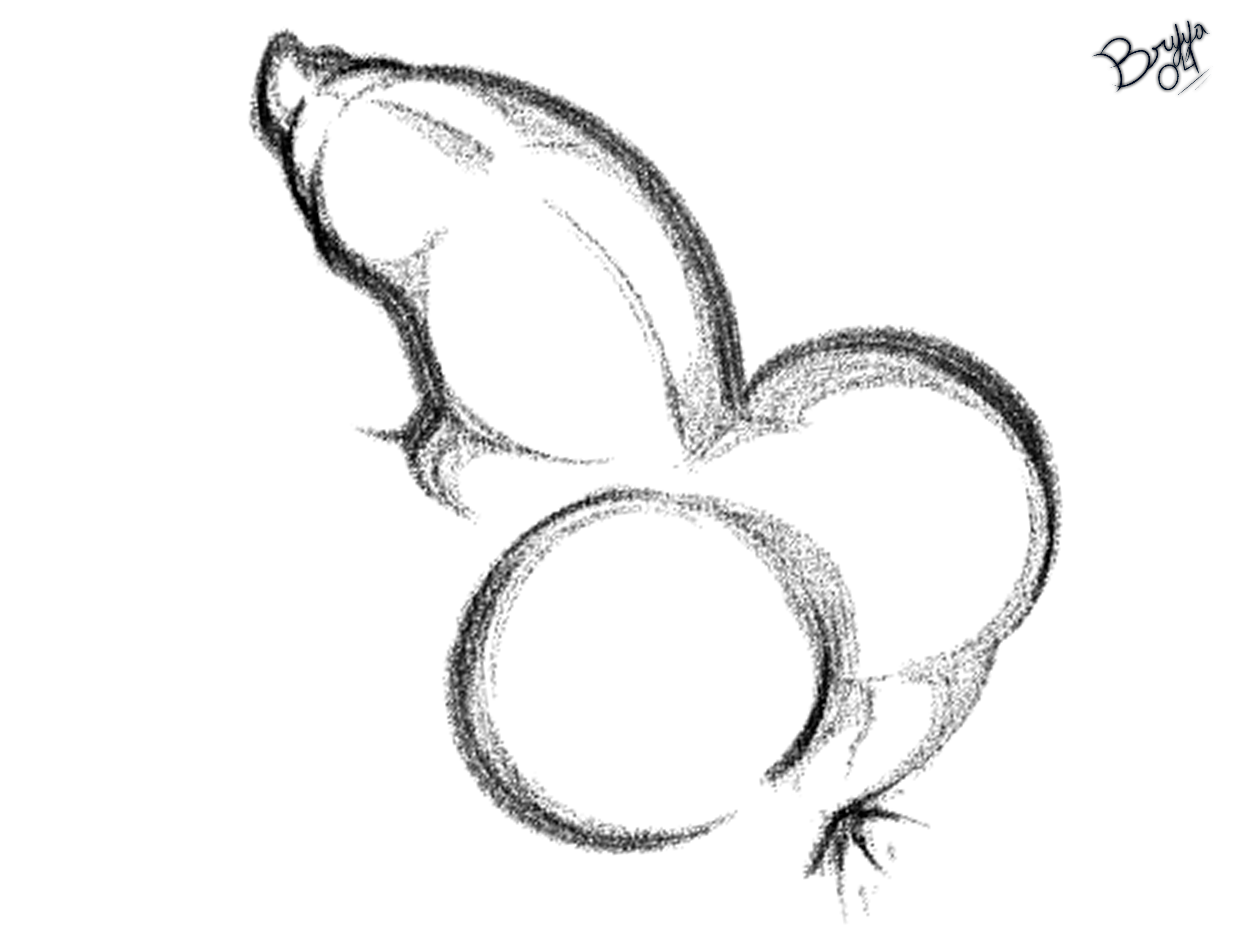 5849586_Bryya04_cat_pp_close_l.png