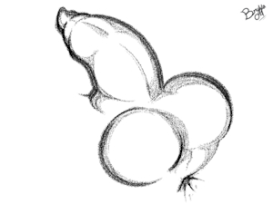 5849586_Bryya04_cat_pp_close_l.png