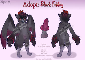 Adopt: Black Friday