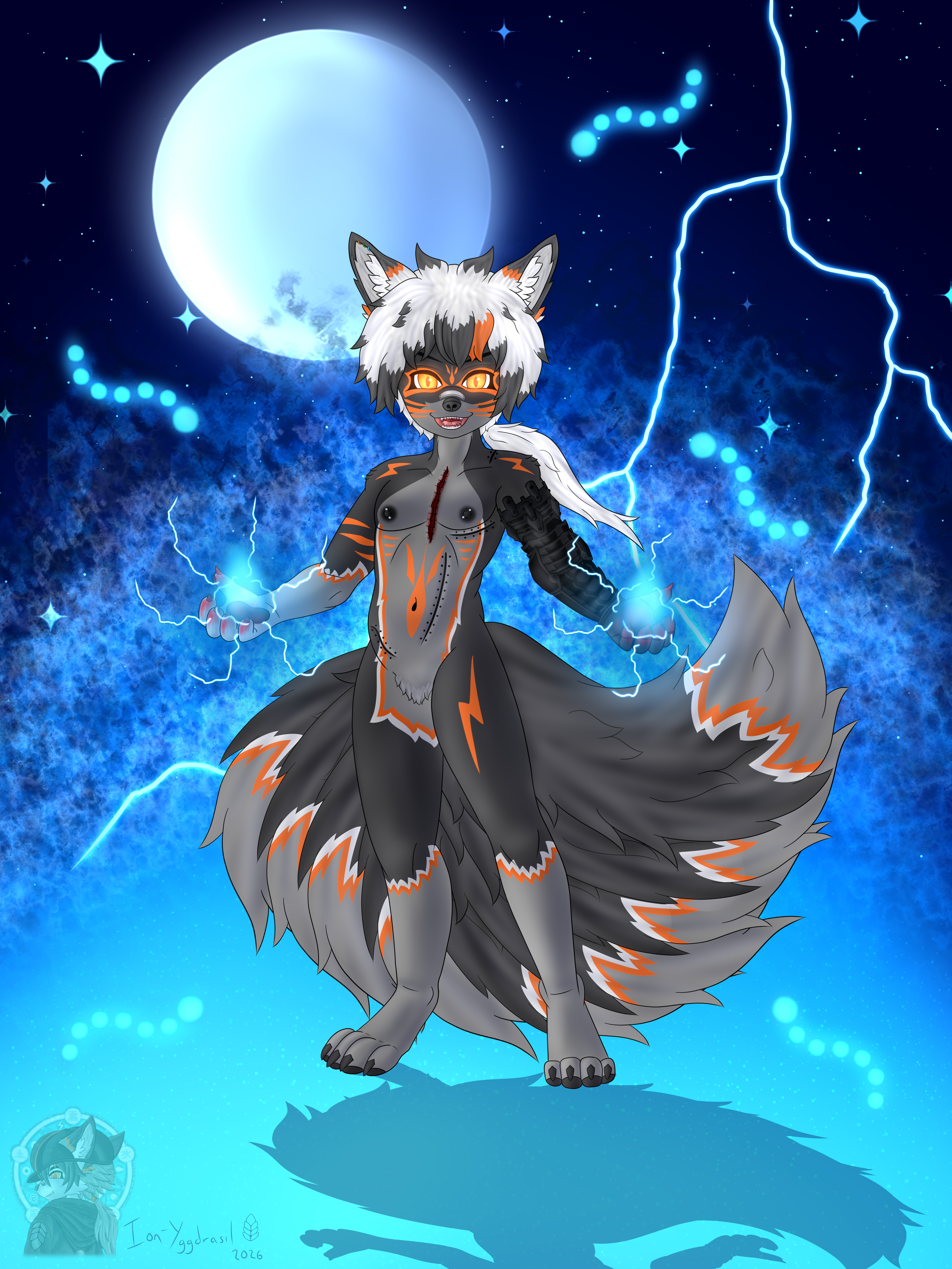 5855437_Talonfangclaw_nightshade_kyuubi_sfw_m.png