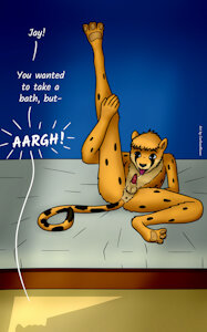Cat things