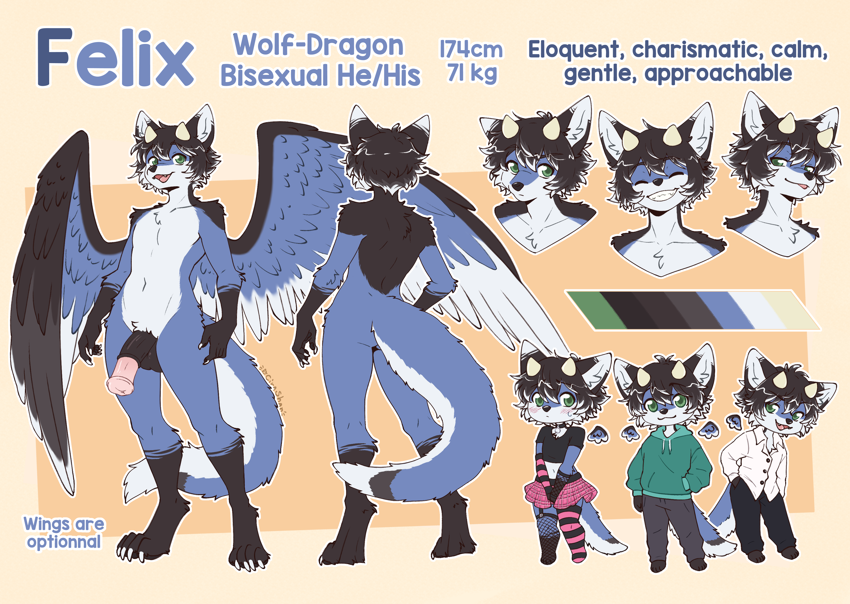 5861962_Roketchu_com_232_reference_felix_nsfw.png