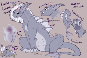 Kaida reference