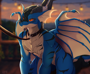 Pet