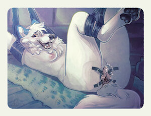 “Lights, Camera, Action” Cookie vers. By HauntWired
