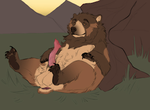Hidden Bear Color