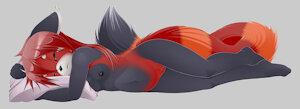 5887848_ern_daki-sidefront1.jpg