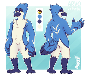 Ref. Sheet Commission for @ArvotheBlueJay