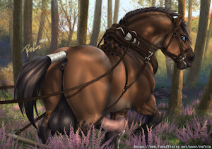Atlas, The Heavy Draft Horse ~♥