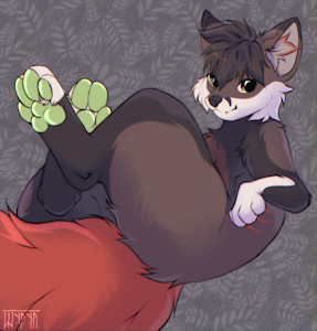 Soft paws