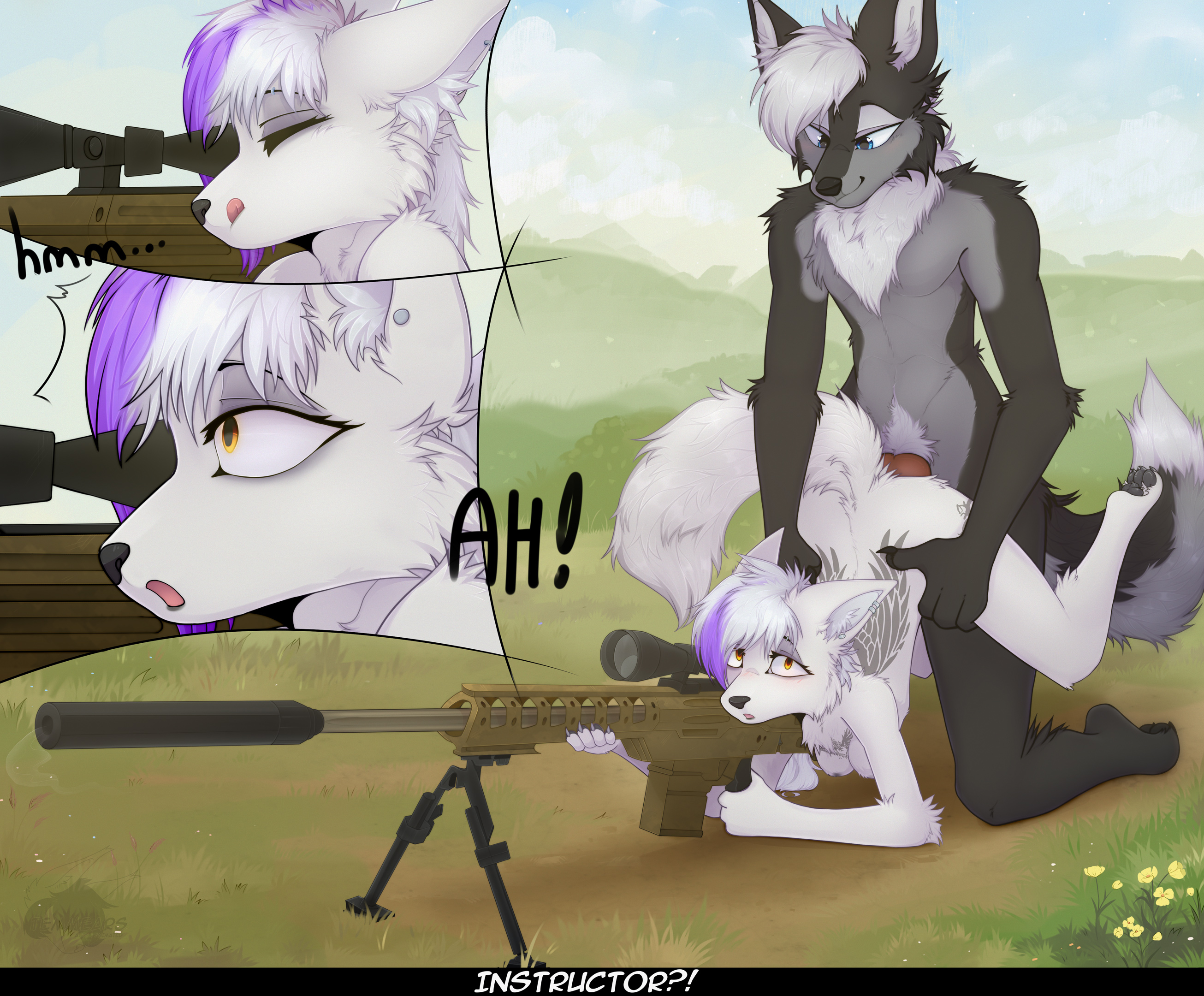 5921348_Nightdancer_aim_carefully_2160.jpg