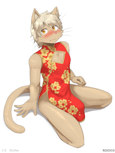 Retrospective Chinese New Year
