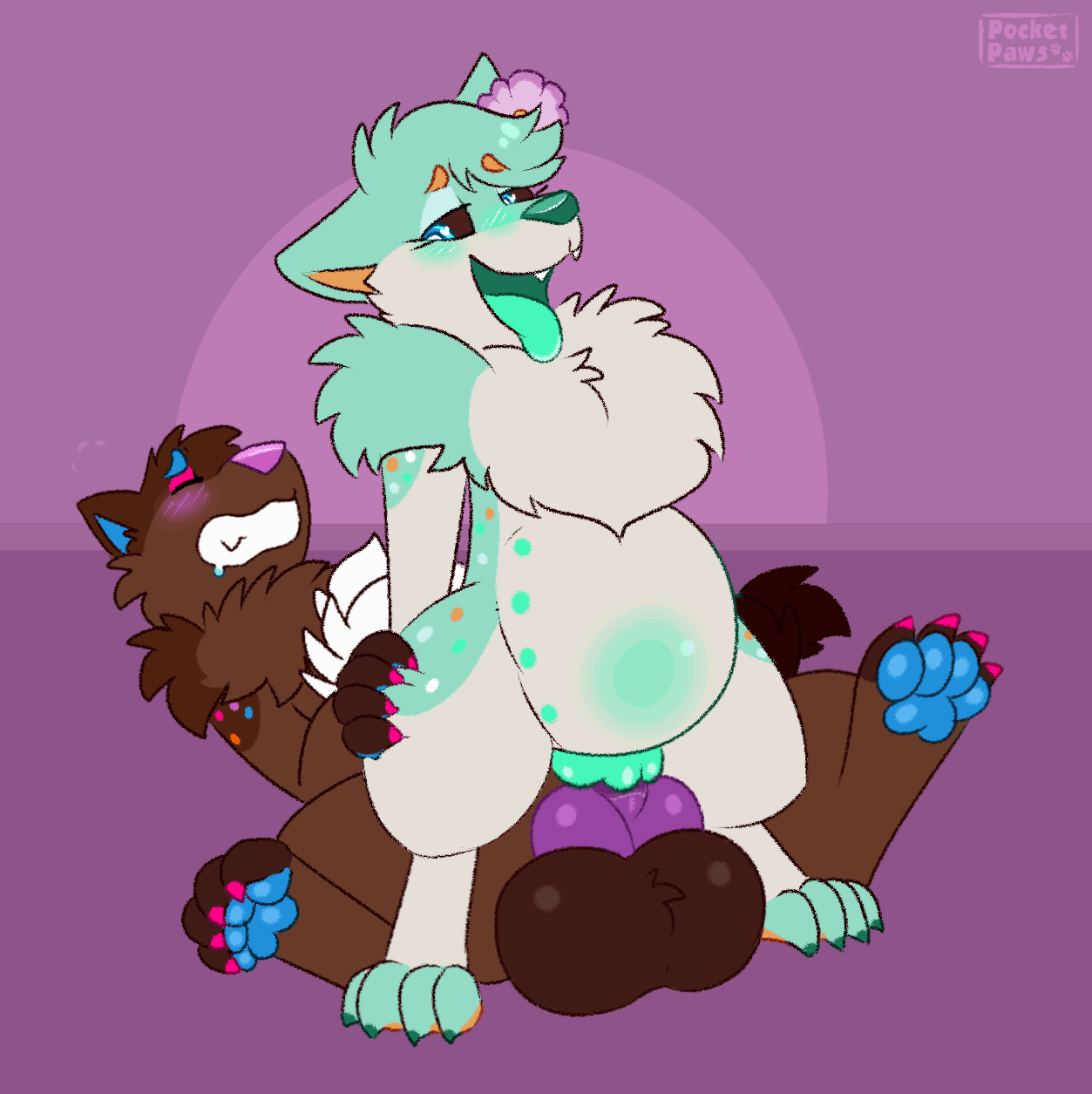 5938996_PocketPaws_10_nov_cosmiccocoa_noxray_nocum.gif