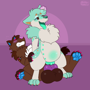 5938996_PocketPaws_10_nov_cosmiccocoa_noxray_nocum.gif